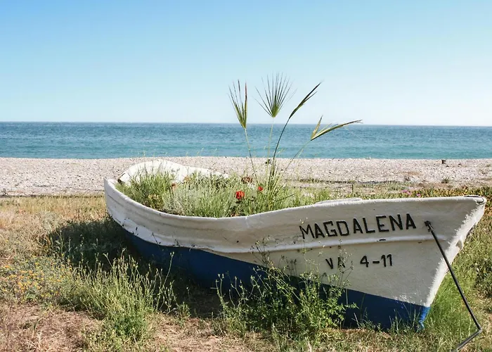 Awesome In Moncofa *